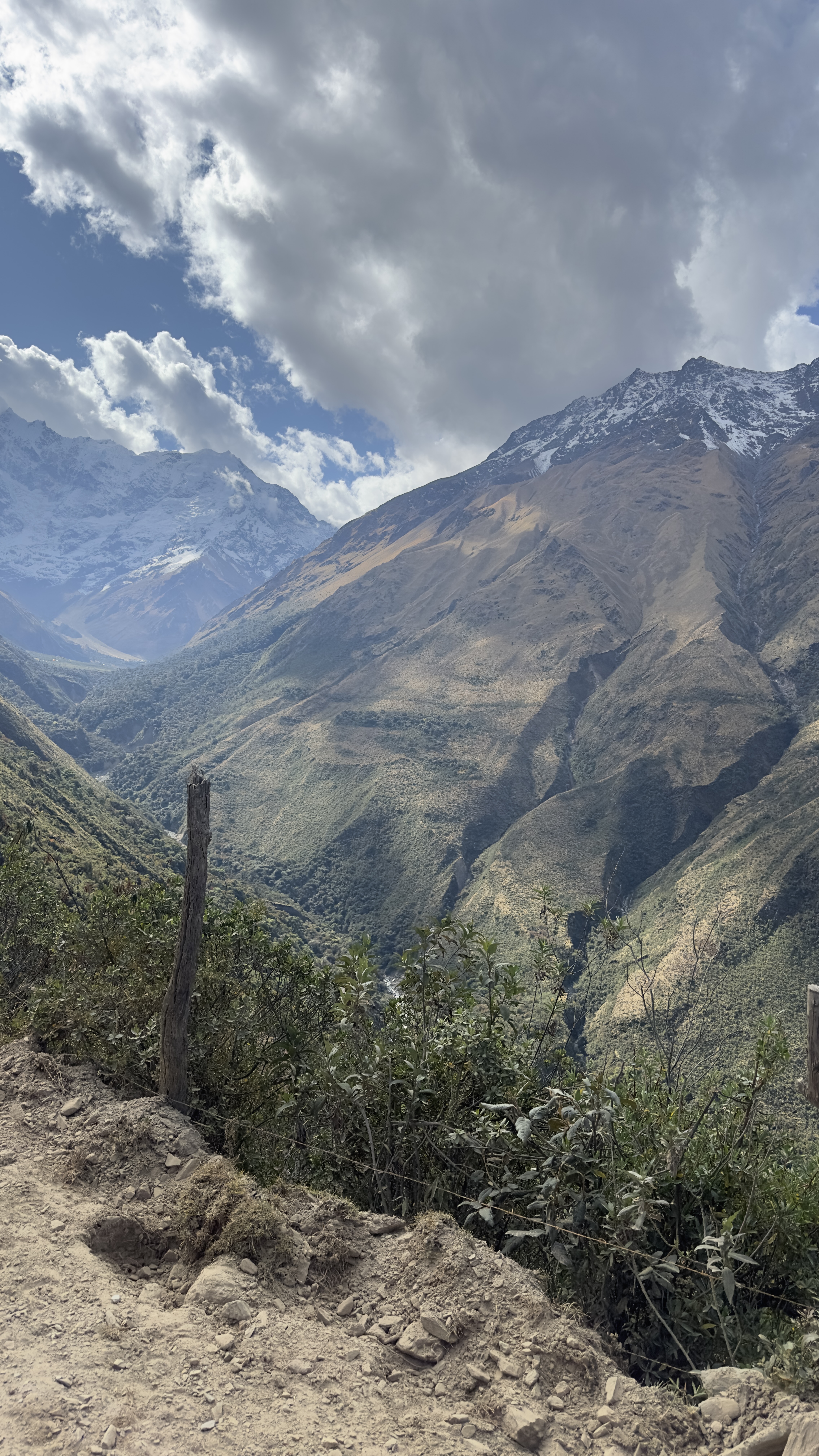 Andes